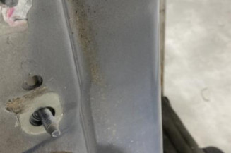 Porte arriere droit RENAULT SCENIC 2