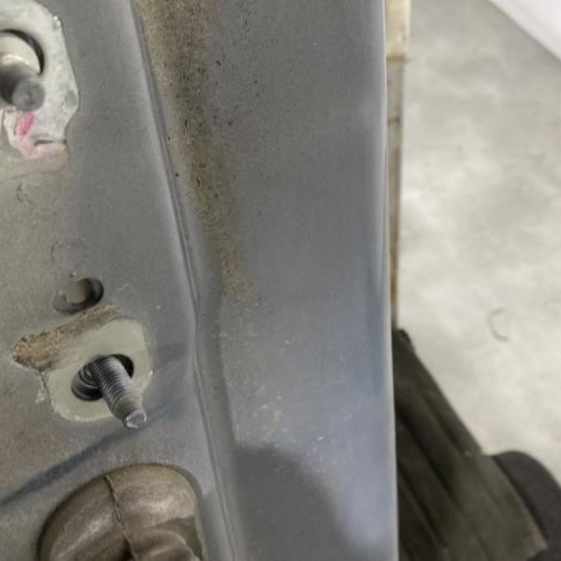 Porte arriere droit RENAULT SCENIC 2 Photo n°4