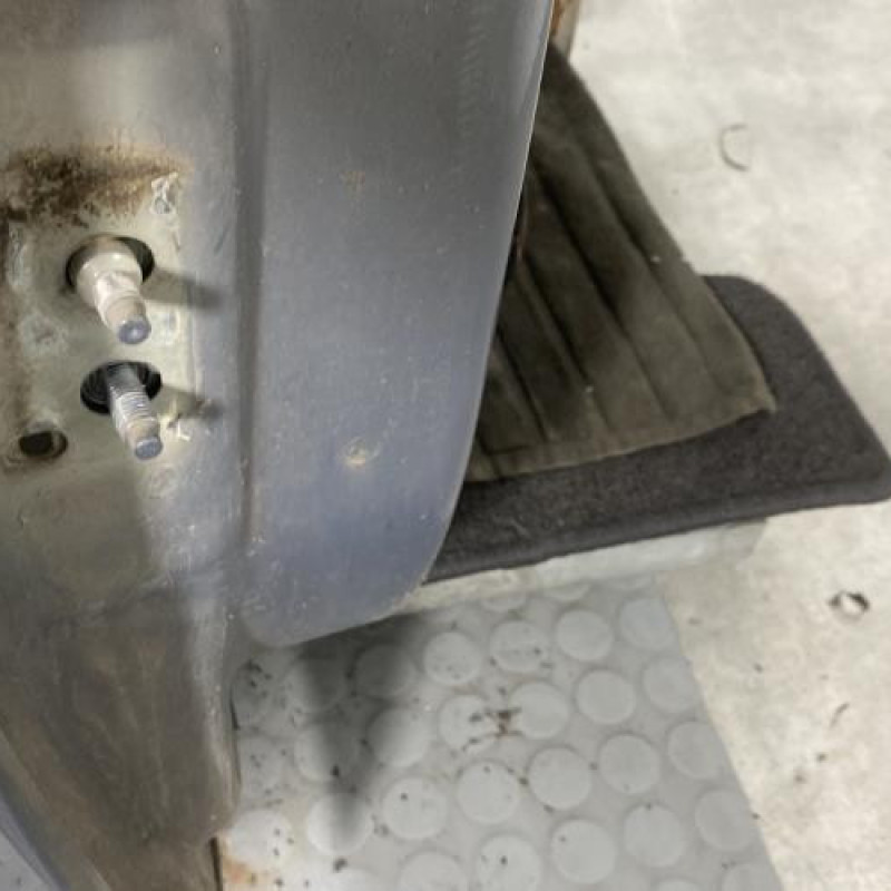 Porte arriere droit RENAULT SCENIC 2 Photo n°5