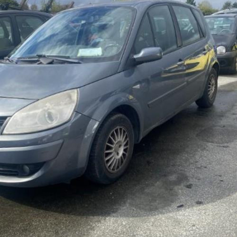 Porte arriere droit RENAULT SCENIC 2 Photo n°7