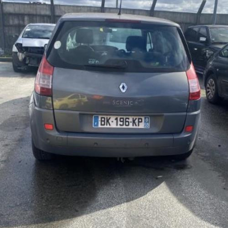 Porte arriere droit RENAULT SCENIC 2 Photo n°8