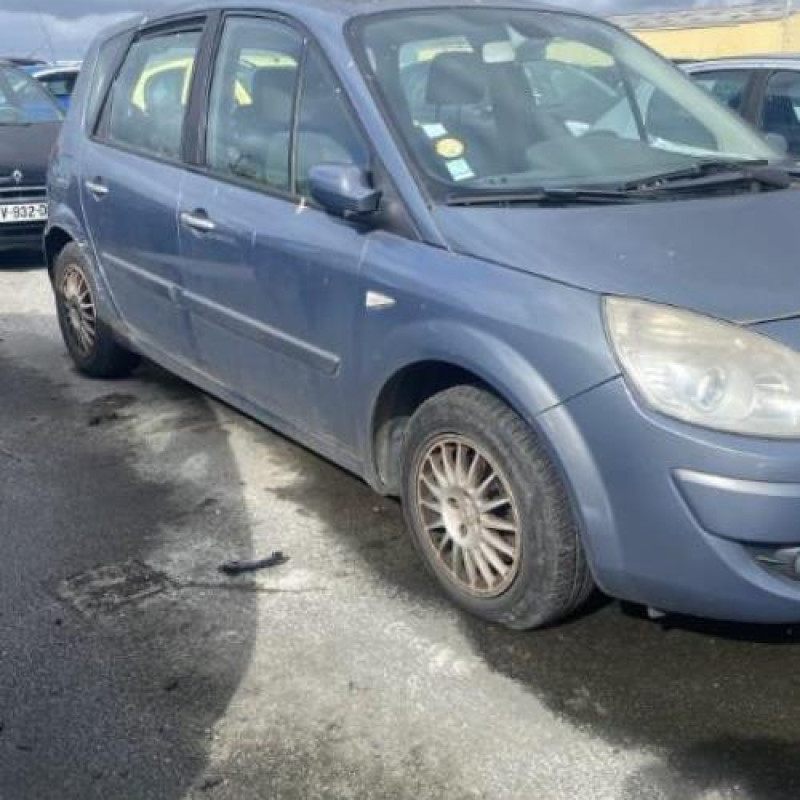 Porte arriere droit RENAULT SCENIC 2 Photo n°10