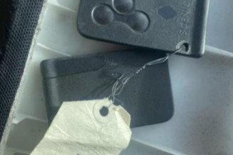 Porte arriere droit RENAULT SCENIC 2