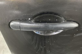 Porte avant droit RENAULT MODUS