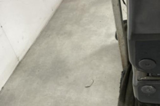 Porte avant droit RENAULT MODUS