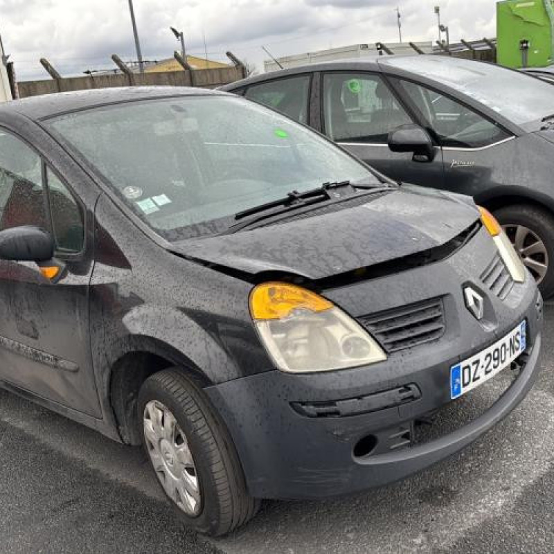 Porte avant droit RENAULT MODUS Photo n°8