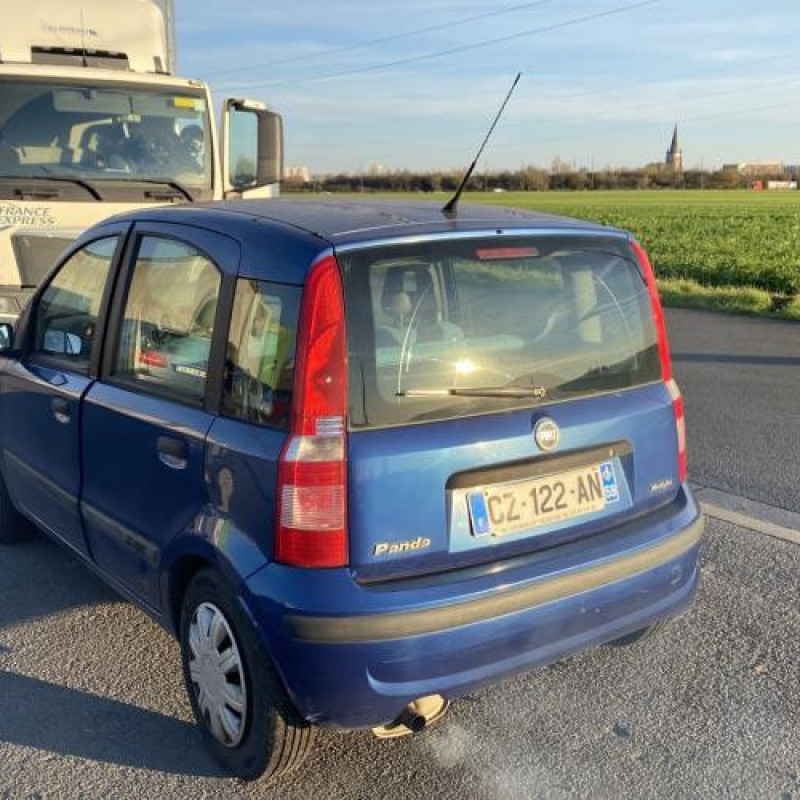 Porte avant gauche FIAT PANDA 2 Photo n°11