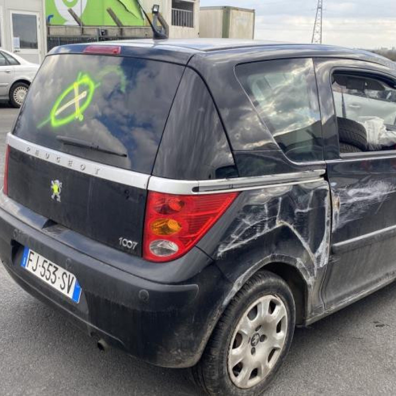 Malle/Hayon arriere PEUGEOT 1007 Photo n°14