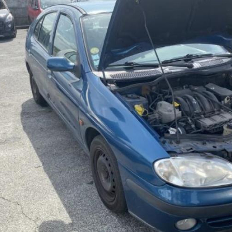 Porte arriere droit RENAULT MEGANE 1 Photo n°8
