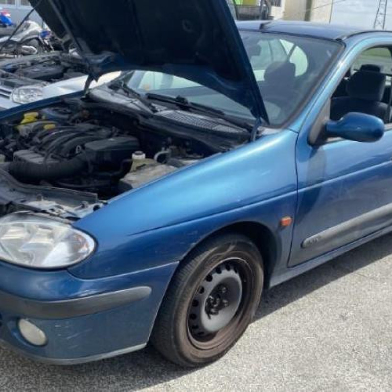 Porte arriere droit RENAULT MEGANE 1 Photo n°18
