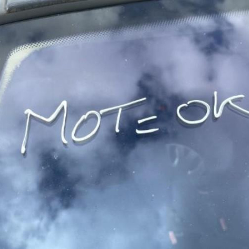 Porte arriere droit CITROEN XSARA PICASSO Photo n°15