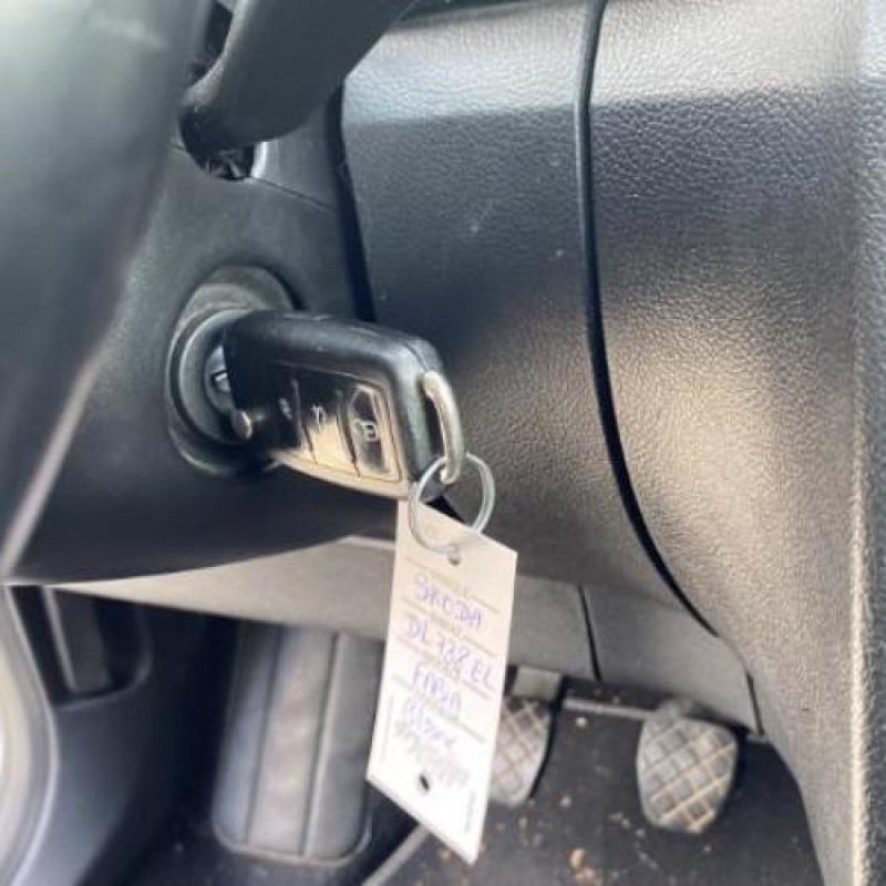 Porte avant droit SKODA FABIA 2 Photo n°15
