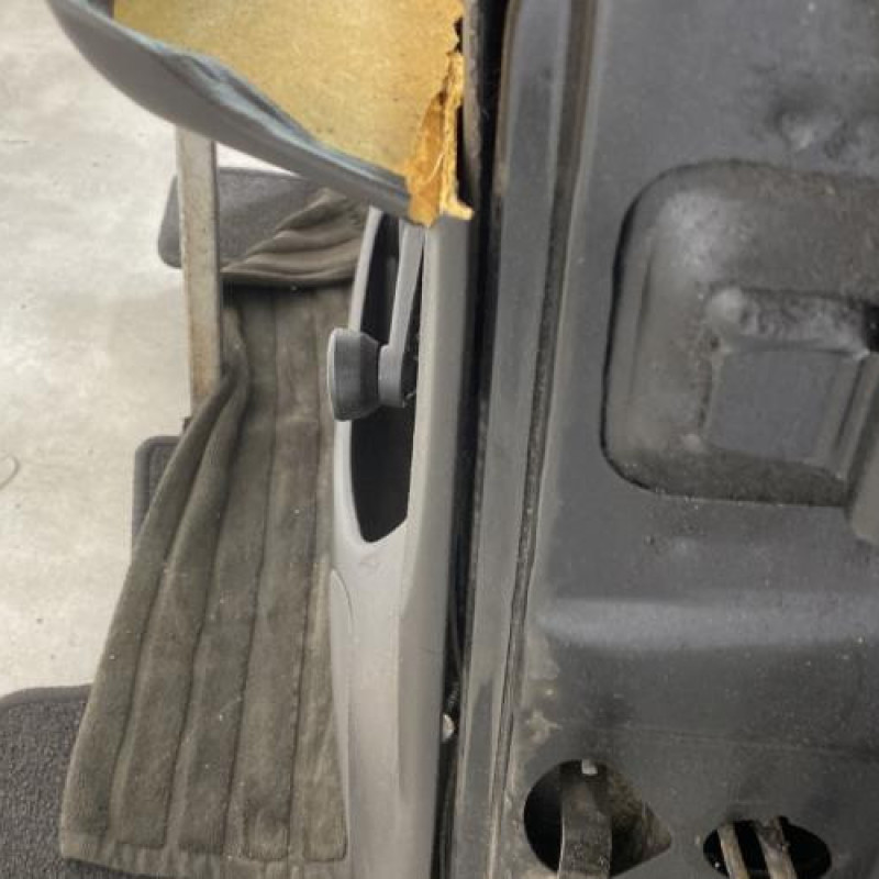 Porte avant gauche FORD FIESTA 4 Photo n°4