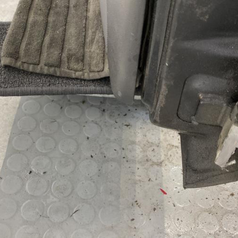 Porte avant gauche FORD FIESTA 4 Photo n°6