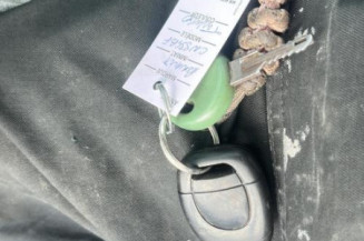 Bouton de warning RENAULT TWINGO 1
