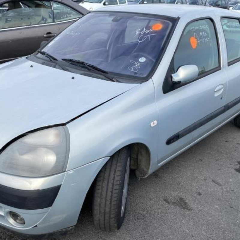 Custode arriere gauche (porte) RENAULT CLIO 2 Photo n°5