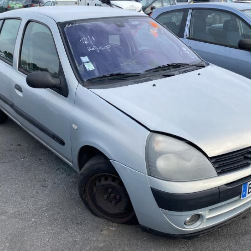 Custode arriere gauche (porte) RENAULT CLIO 2 Photo n°6