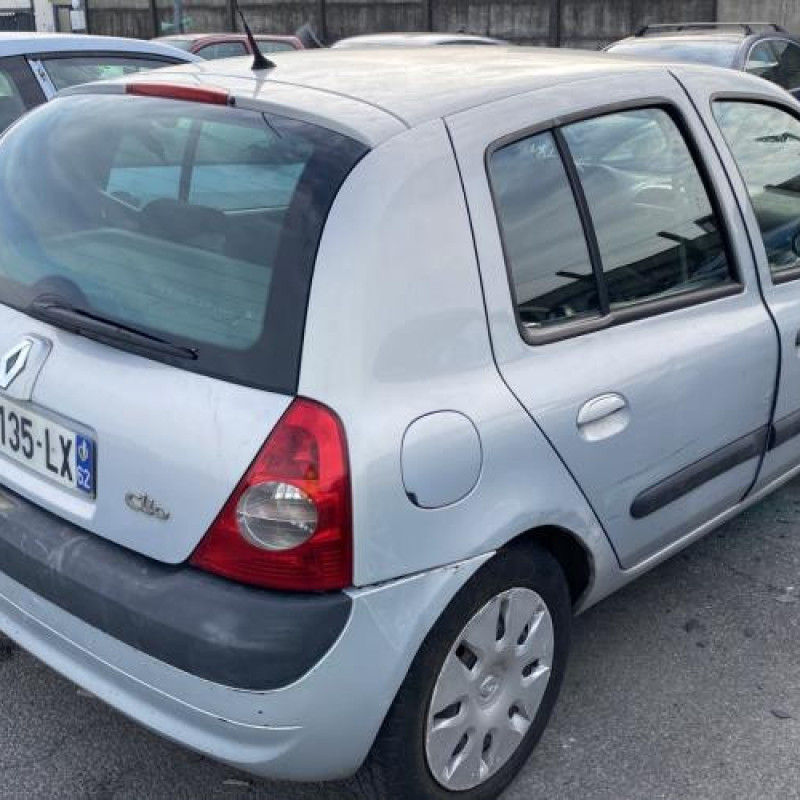 Custode arriere gauche (porte) RENAULT CLIO 2 Photo n°7