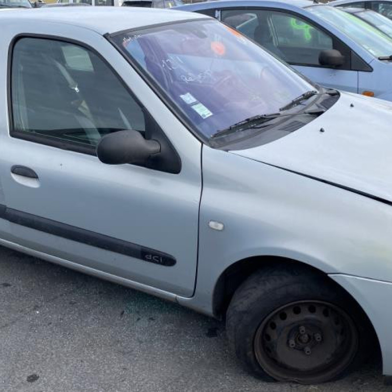 Custode arriere gauche (porte) RENAULT CLIO 2 Photo n°11