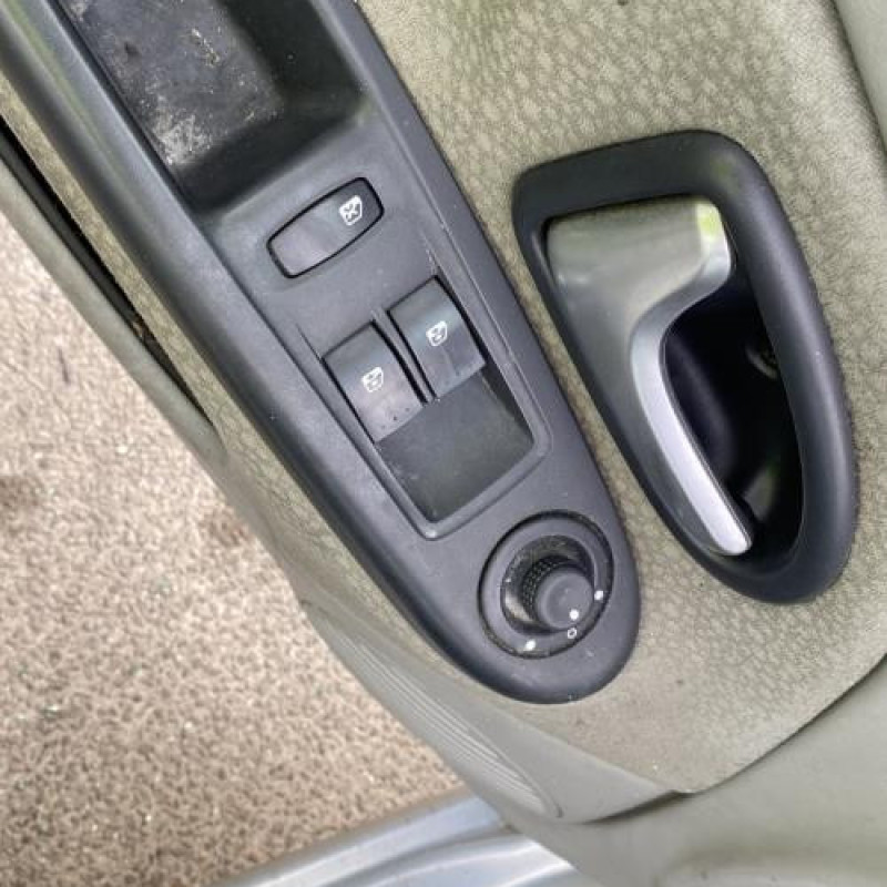 Custode arriere gauche (porte) RENAULT CLIO 2 Photo n°14