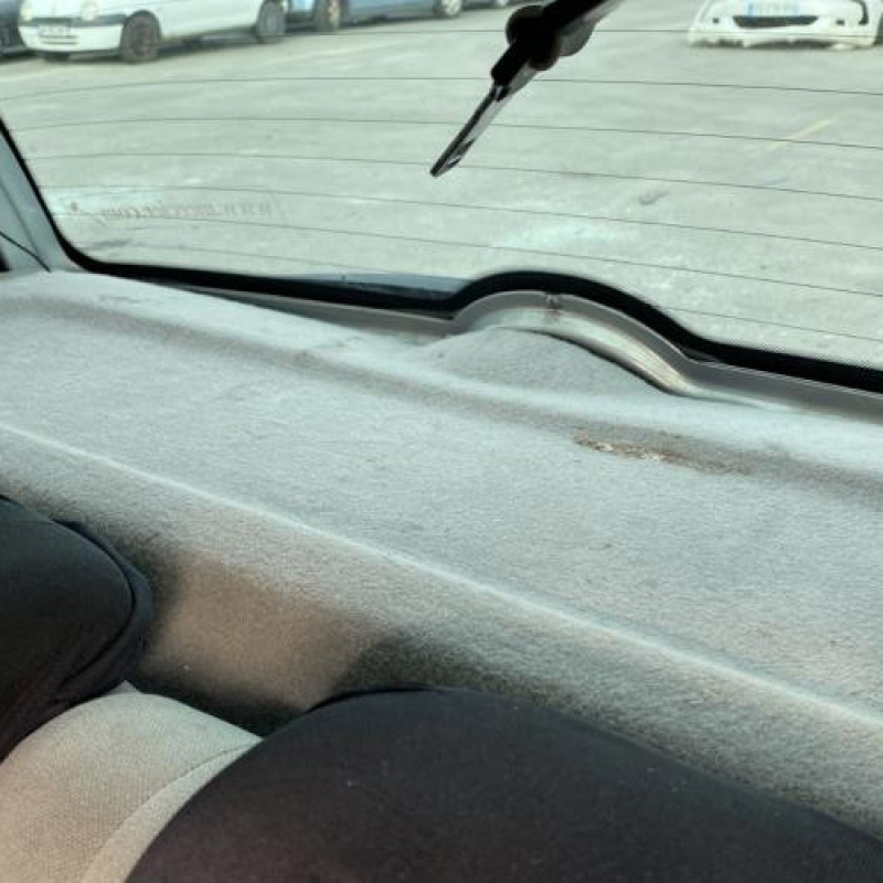 Custode arriere gauche (porte) RENAULT CLIO 2 Photo n°17