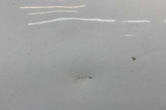 Porte avant gauche RENAULT CLIO 4