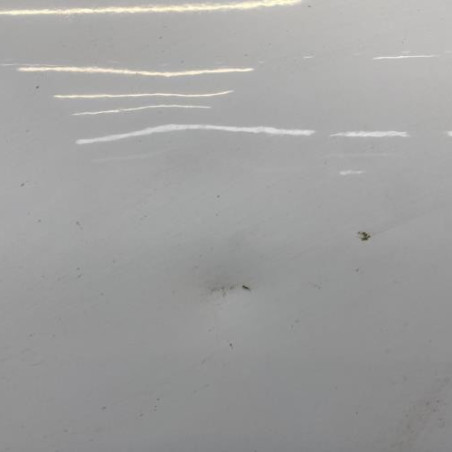 Porte avant gauche RENAULT CLIO 4