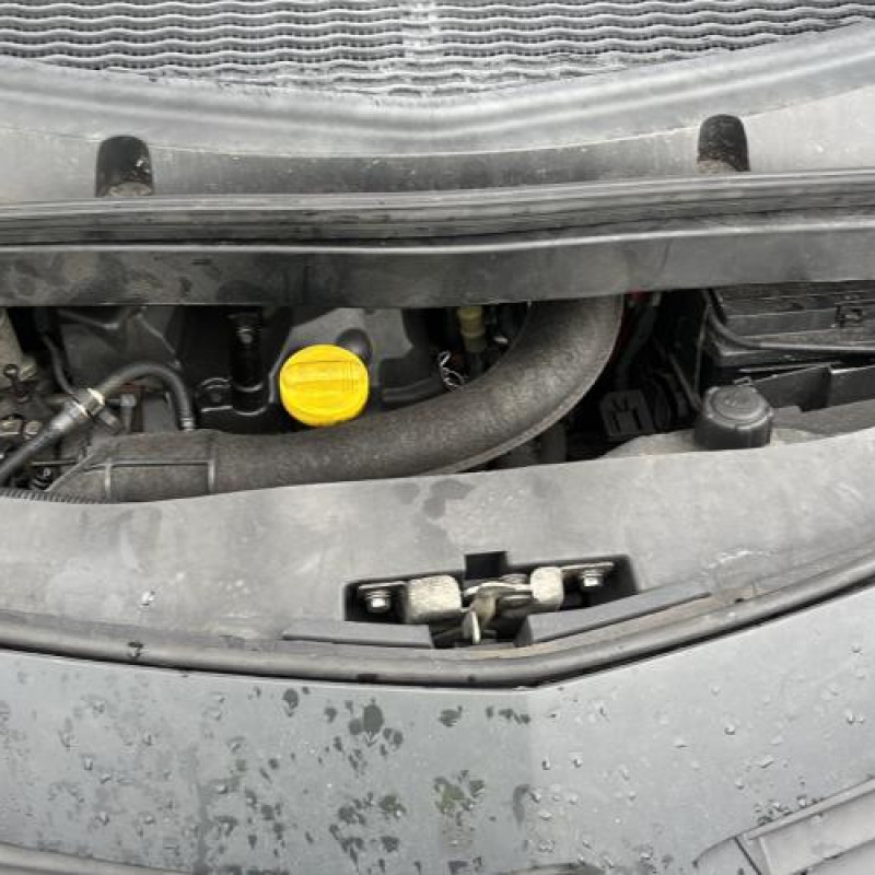 Poignee interieur avant gauche RENAULT MODUS Photo n°20