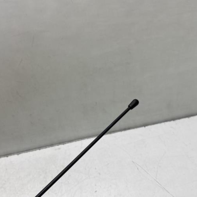 Antenne RENAULT TWINGO 1 Photo n°3