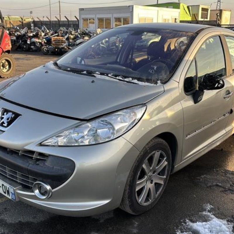 Neiman PEUGEOT 207 Photo n°16