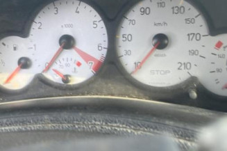 Feu arriere principal gauche (feux) PEUGEOT 206