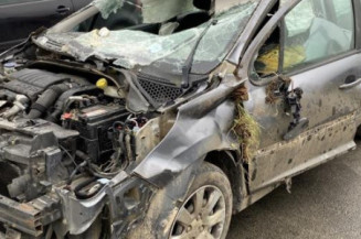 Pivot de moyeu avant gauche PEUGEOT 207