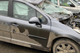 Pivot de moyeu avant gauche PEUGEOT 207