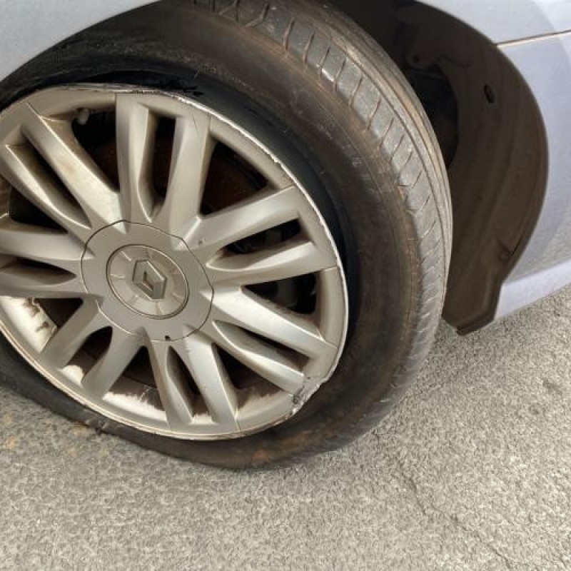 Etrier arriere droit (freinage) RENAULT LAGUNA 3 Photo n°19