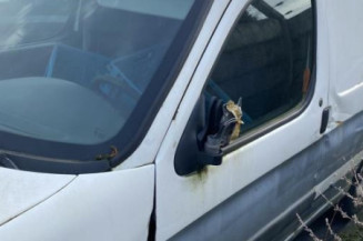 Bouton de warning PEUGEOT PARTNER 1 Photo n°1