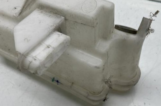 Vase de lave glace RENAULT ARKANA