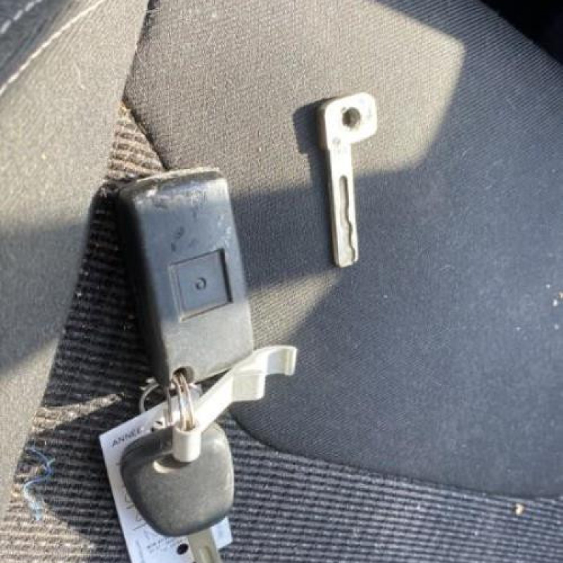 Porte arriere droit CITROEN C5 2 Photo n°4