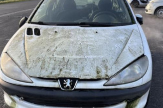 Feu arriere principal droit (feux) PEUGEOT 206
