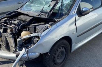 Malle/Hayon arriere PEUGEOT 206