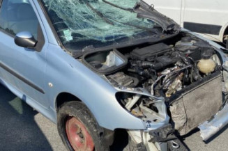 Malle/Hayon arriere PEUGEOT 206