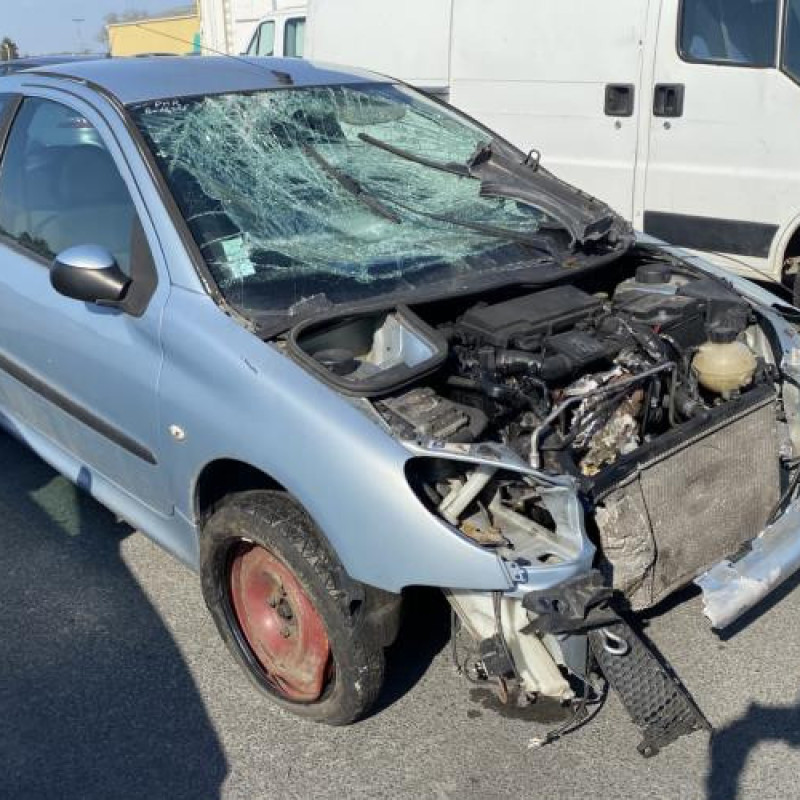Malle/Hayon arriere PEUGEOT 206 Photo n°13