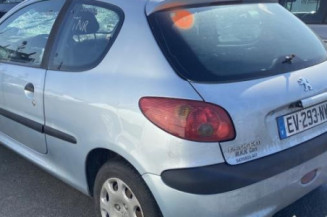 Malle/Hayon arriere PEUGEOT 206