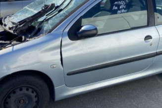 Malle/Hayon arriere PEUGEOT 206