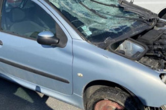 Malle/Hayon arriere PEUGEOT 206