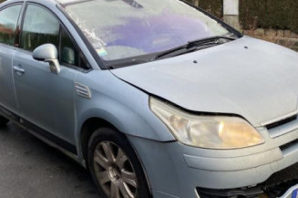Porte arriere droit CITROEN C4 1
