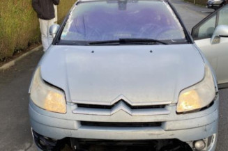 Porte arriere droit CITROEN C4 1