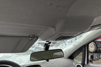 Poignee interieur avant gauche OPEL CORSA D