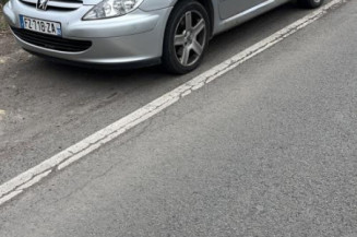 Afficheur PEUGEOT 307 Photo n°1