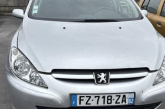 Afficheur PEUGEOT 307