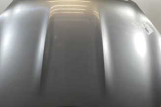 Capot NISSAN QASHQAI 1 Photo n°1